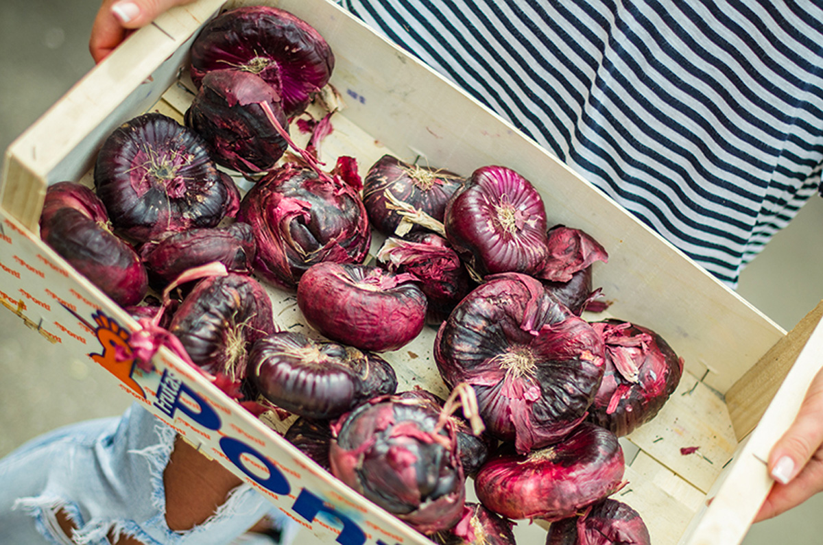 Odessa local onion. Maria Kalenska food blog, Odessa.