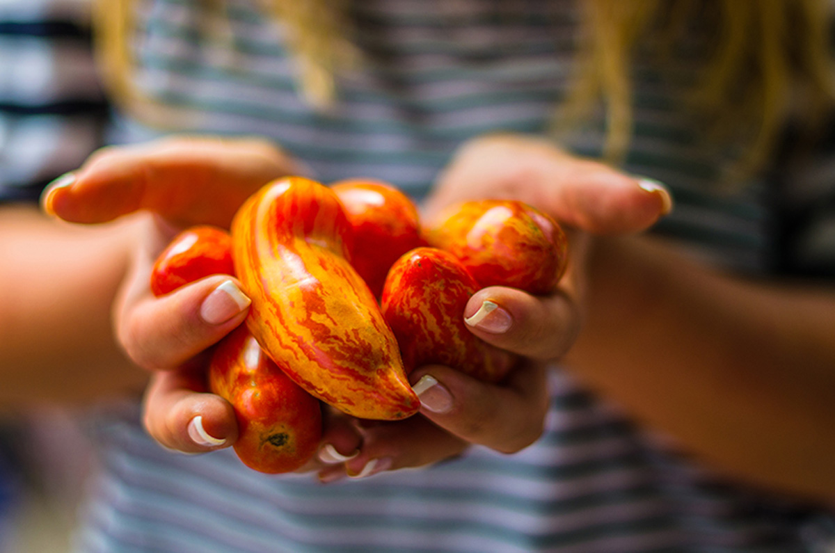 Small tomatoes. Maria Kalenska food blog, Odessa.