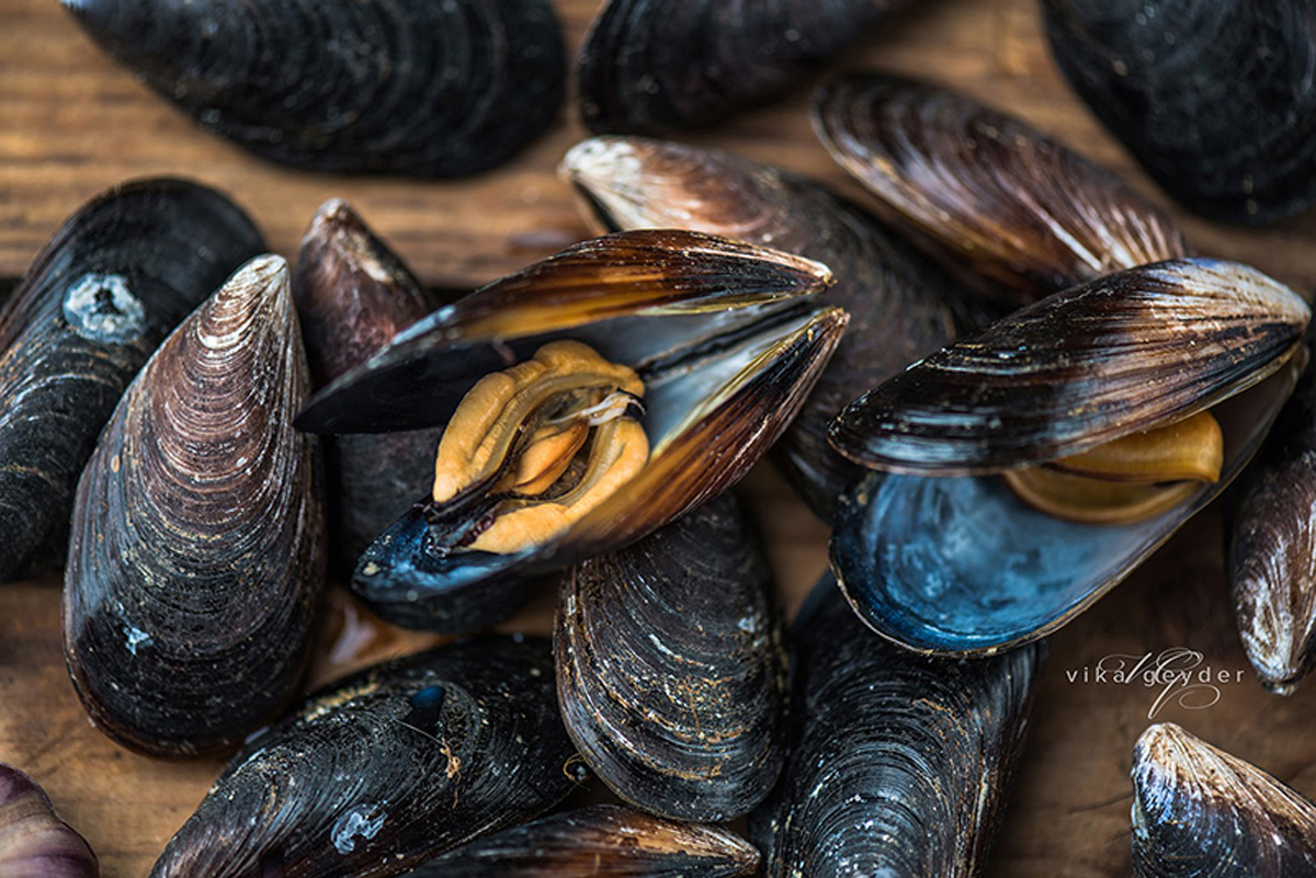Local mussels for Odessa dishes. Maria Kalenska food blog, Odessa.