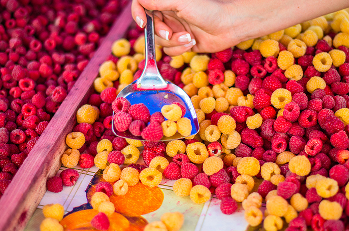 Two kinds of raspberry. Maria Kalenska food blog, Odessa.