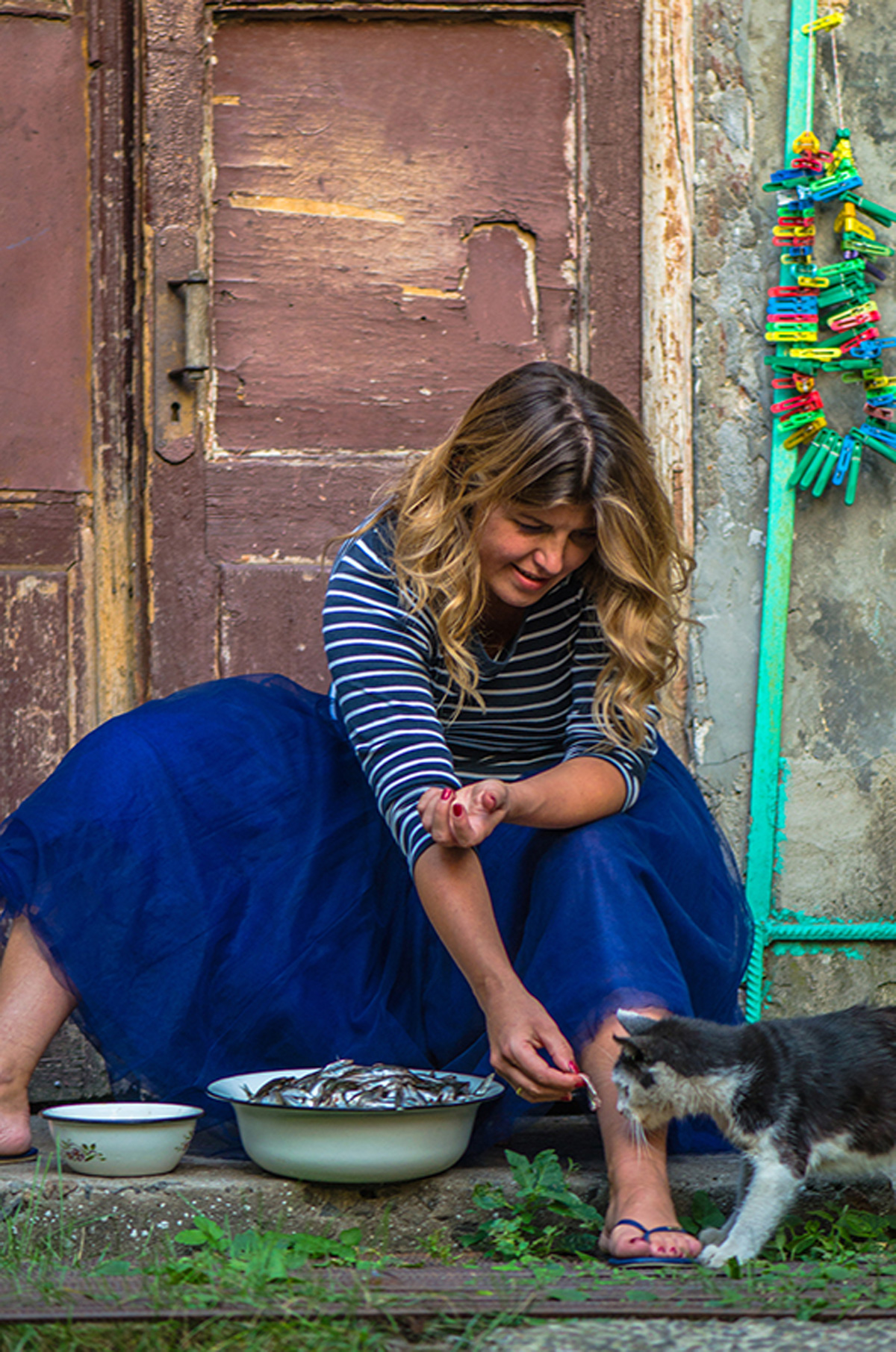 Cat eats sprat. Maria Kalenska blog about odessa