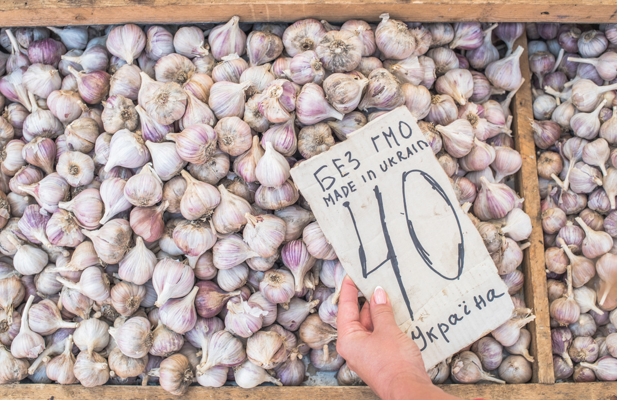 Organic garlic. Maria Kalenska blog about Odessa