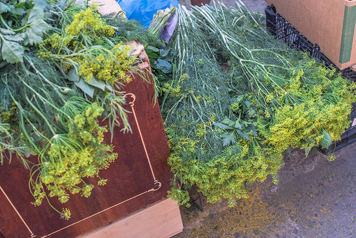 Odessa greens. Maria Kalenska food blog, Odessa.