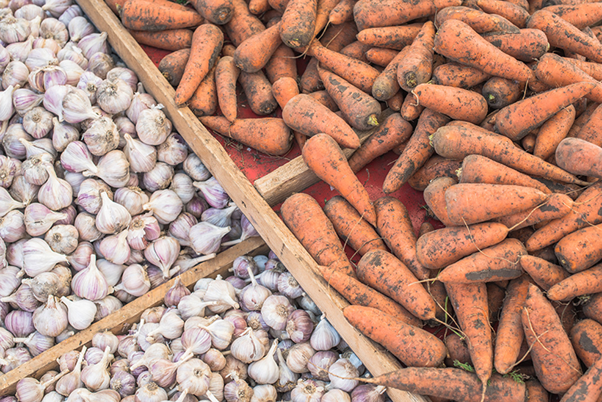 Carrot and garlic. Maria Kalenska food blog, Odessa.