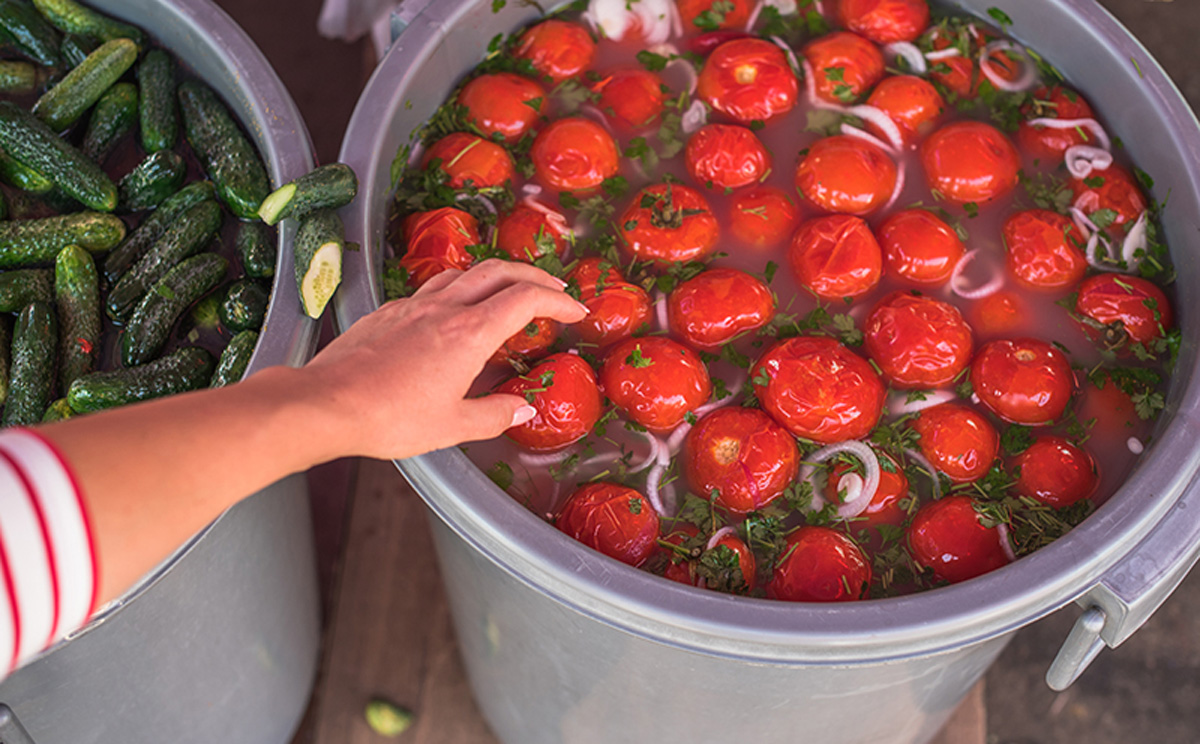 Odessa tomatoes. Maria Kalenska food blog, Odessa.