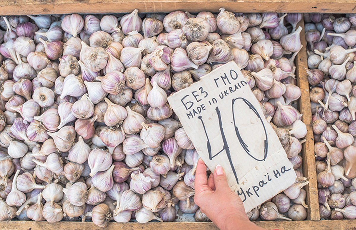 Organic garlic. Maria Kalenska food blog, Odessa.