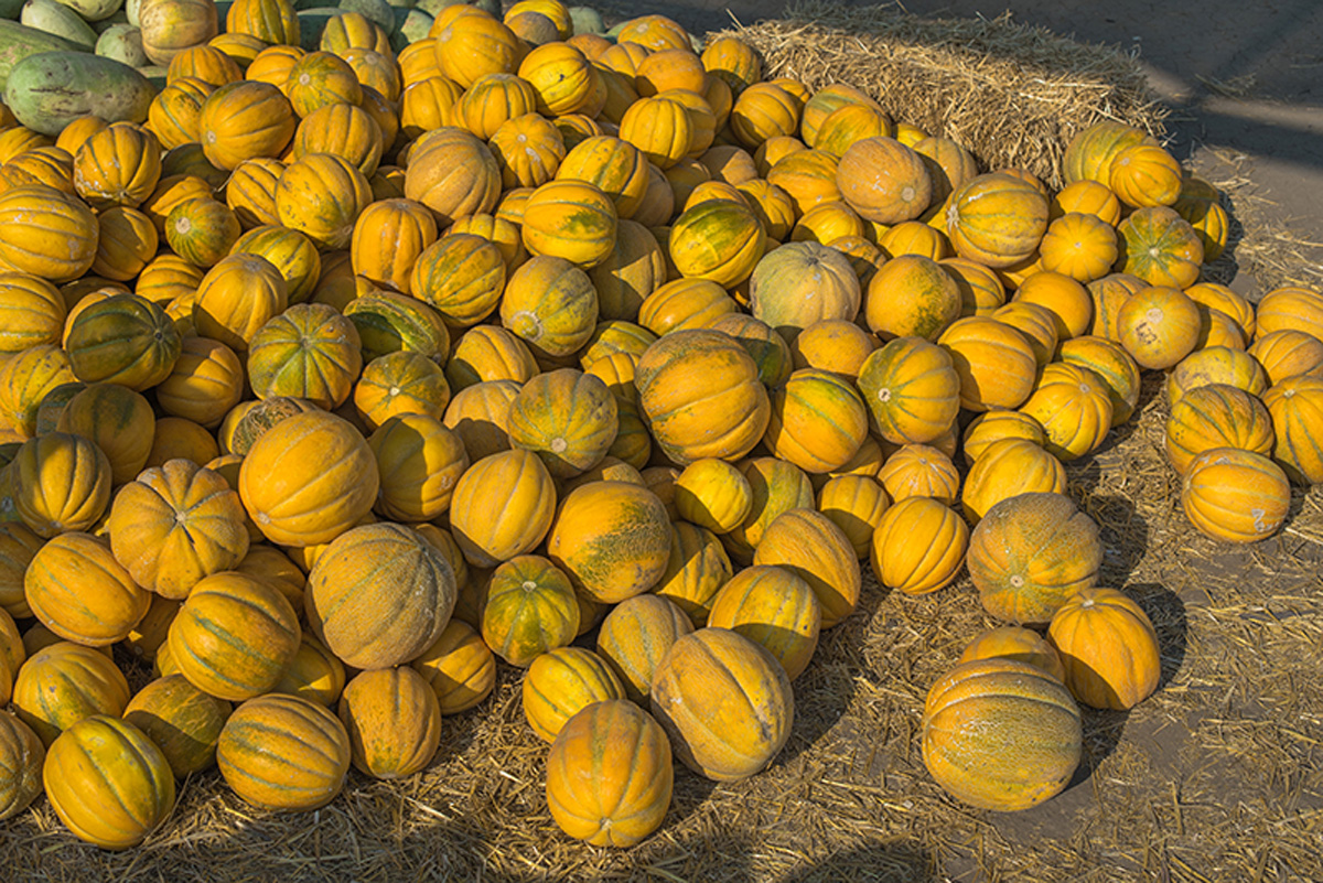 Odessa. Maria Kalenska blog about Odessa