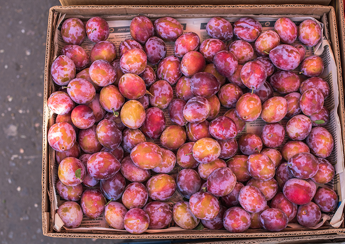 Plumps. Maria Kalenska food blog, Odessa.