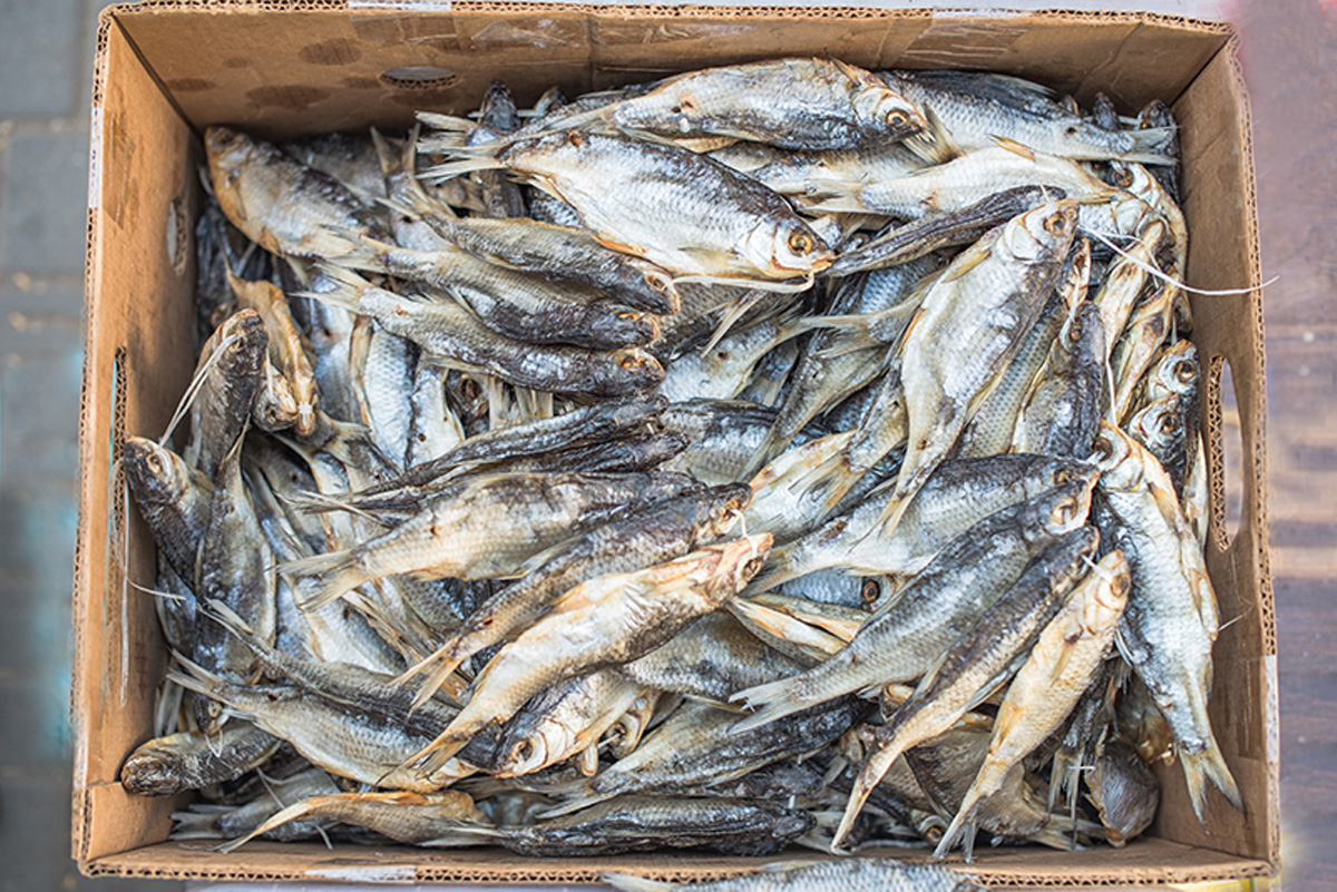 My Odessa. Maria Kalenska blog about Odessa