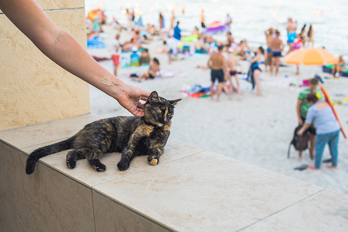 My Odessa. Maria Kalenska blog about Odessa