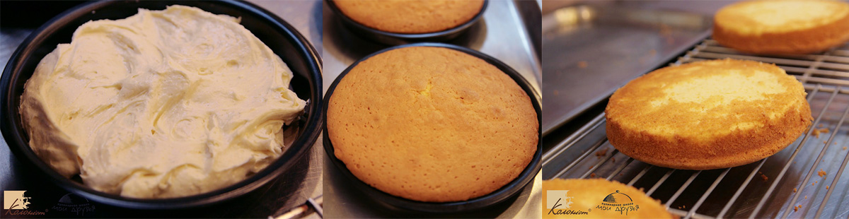 Cook sponges