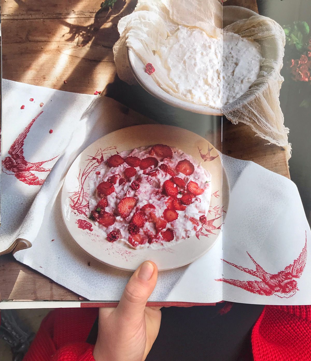 Old recipes. Dining with Proust. Maria Kalenska blog about Odessa