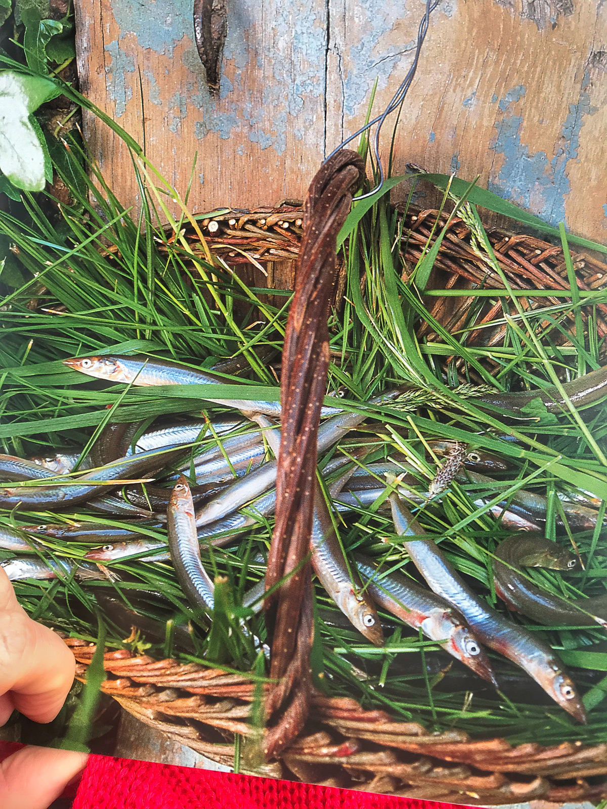 Small fish. Dining with Proust. Maria Kalenska blog about Odessa