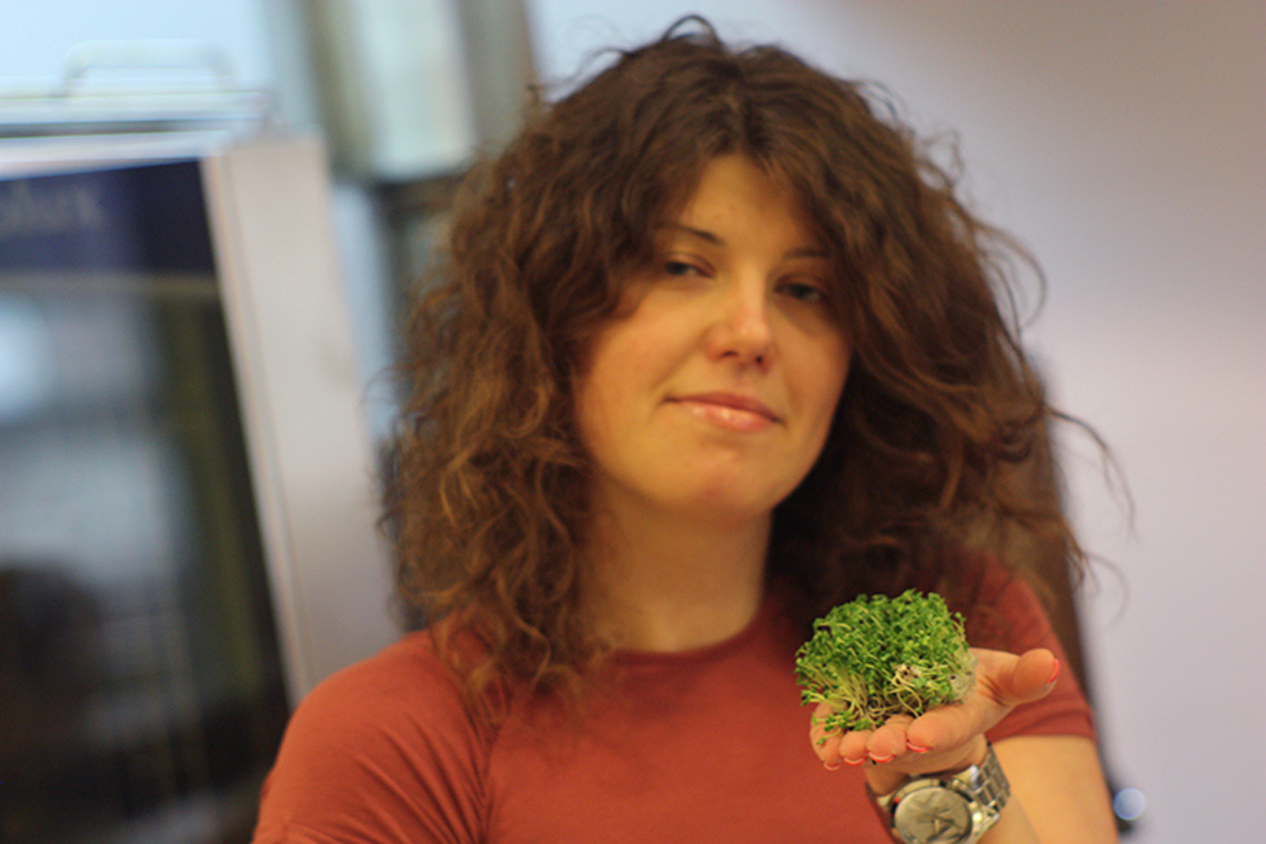 Greens. Meat & Grill & Barbecue Course. Сooking school "My Odessa Cuisine".