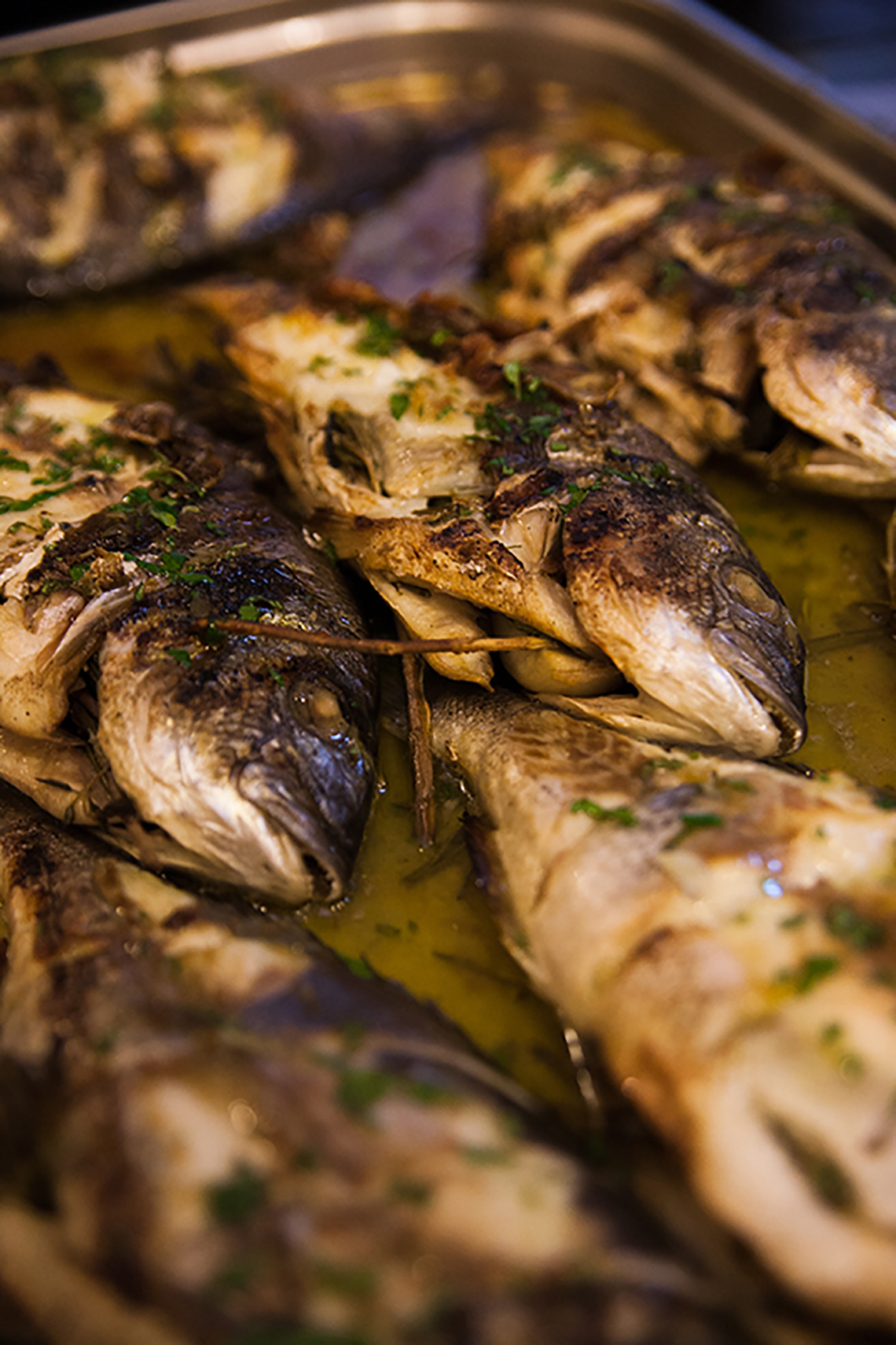 Dorado fish. Olive oil tasting during lesson "Greek Сuisine". Cooking classes in Ukraine.