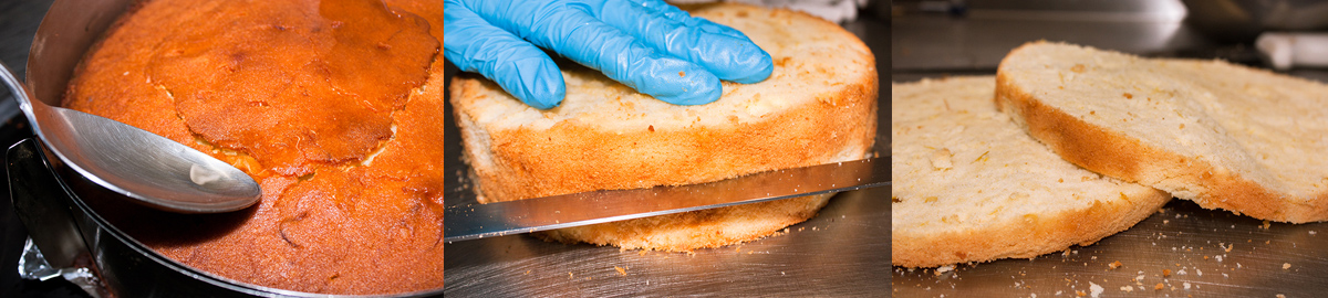 Cut sponges