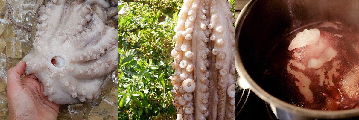 Prepare octopus before cooking. Grilled octopus.