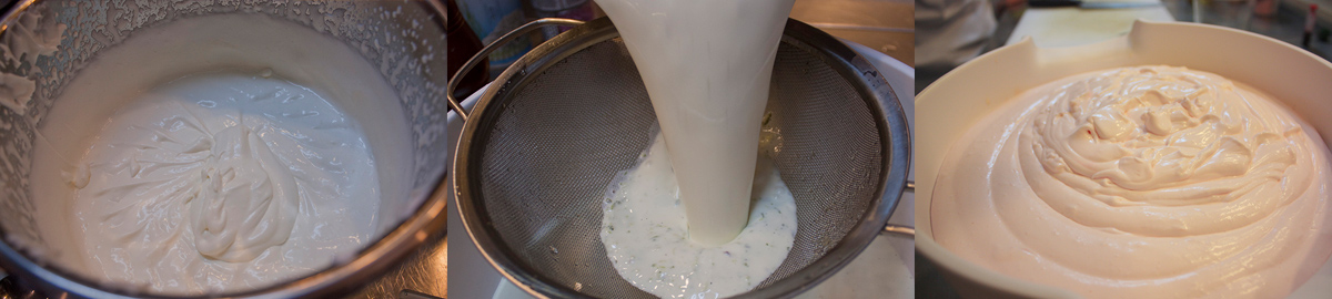 Cook panna cotta