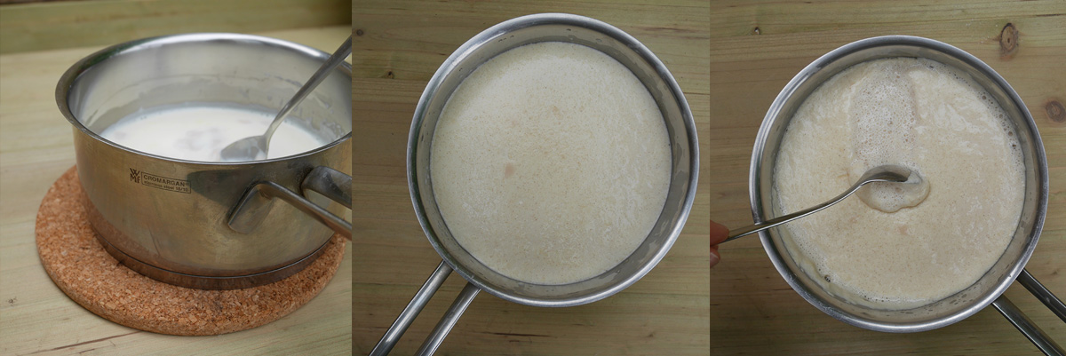 Dough starter