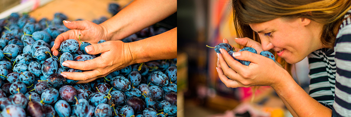 Choose plums