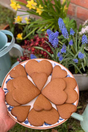 Lady Brunner's gingerbread. Delicious recipes from famous chefs.