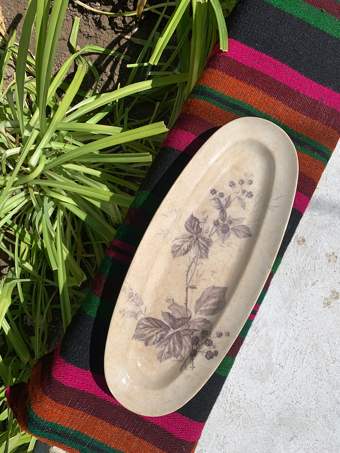 “Balkans Yastia”. Сooking masterclass for adults in Odessa.