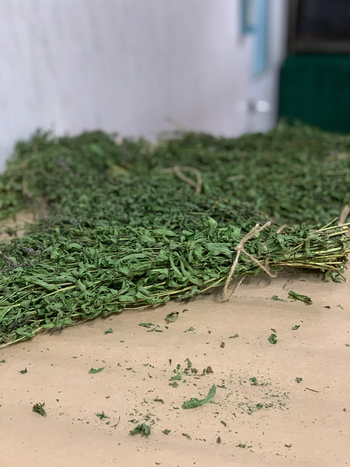 Herbs. “Balkans Yastia”. Сooking masterclass for adults in Odessa.