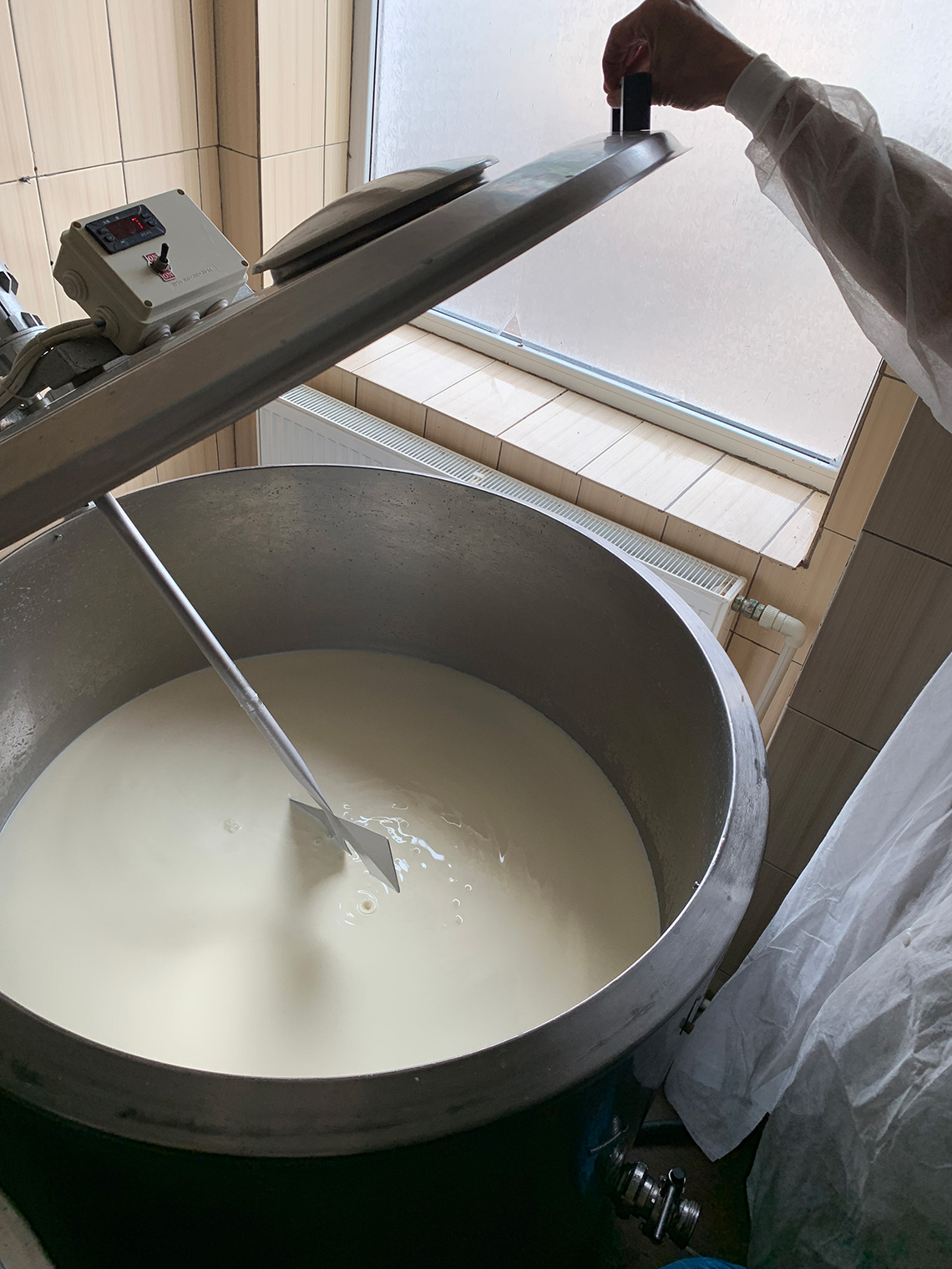 Bessarabian Cheese Factory. Сooking masterclass for adults in Odessa.