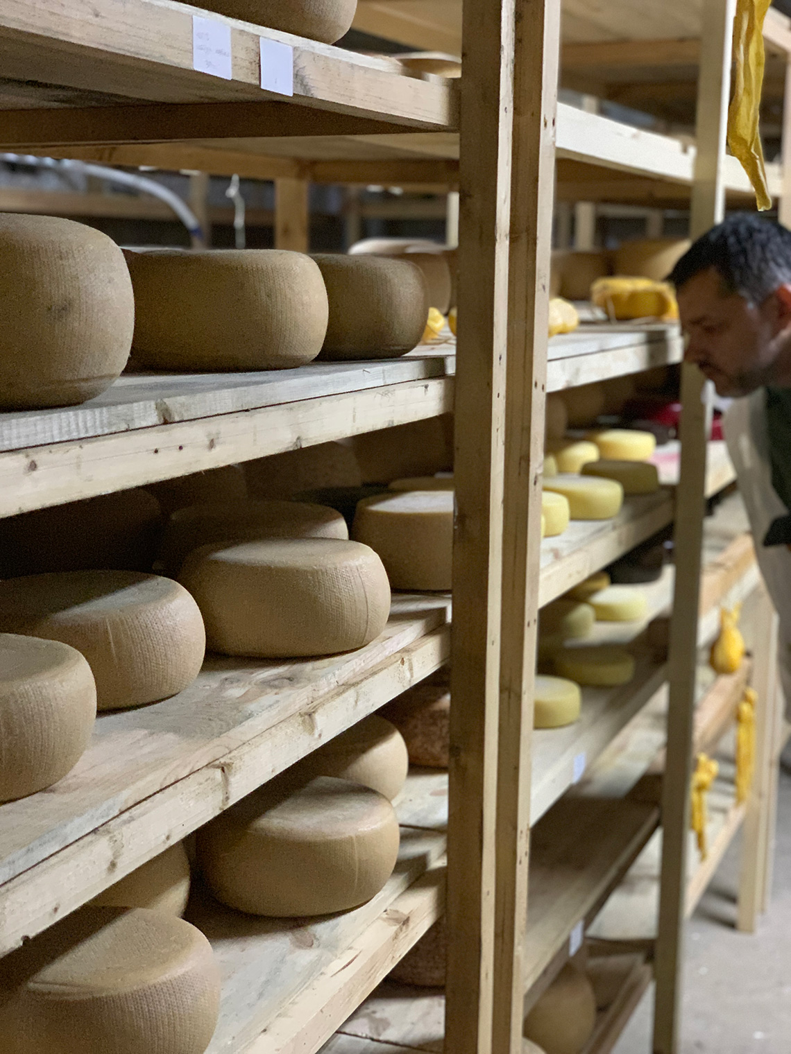 At Bessarabian Cheese Factory. Сooking masterclass for adults in Odessa.