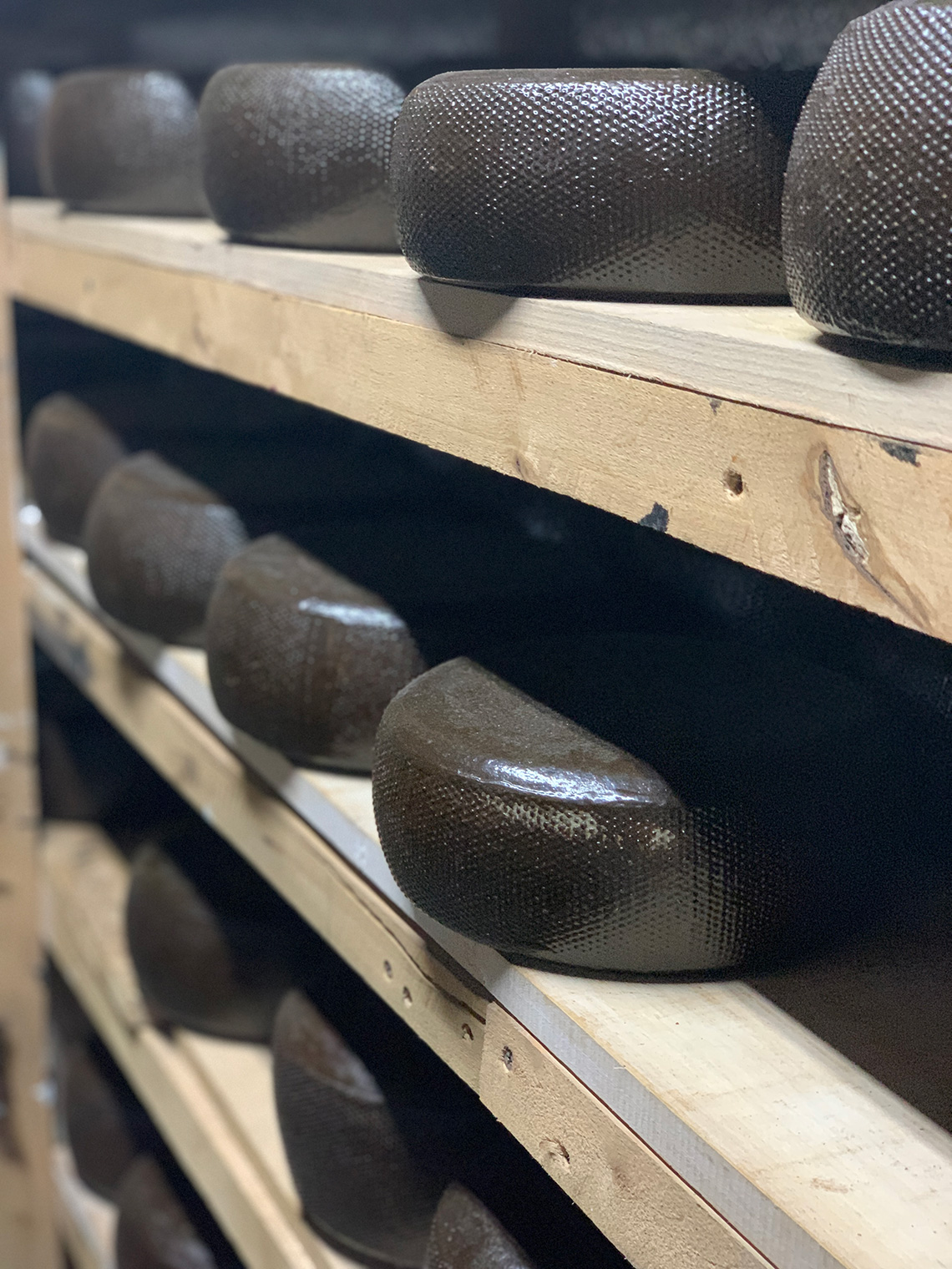 Cheese. Bessarabian Cheese Factory. Сooking masterclass for adults in Odessa.