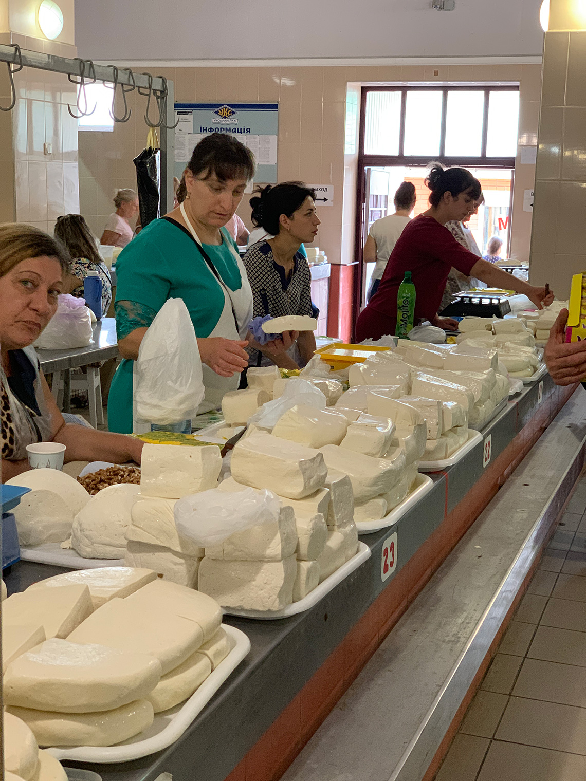 Cheese market. Bessarabian Cheese Factory. Сooking masterclass for adults in Odessa.