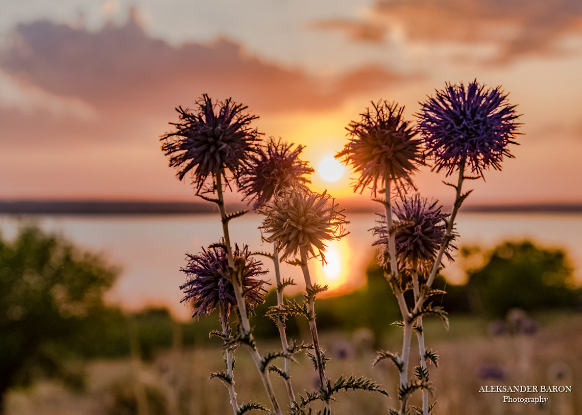 First enogastronomic tour. Food tours with Maria Kalenska