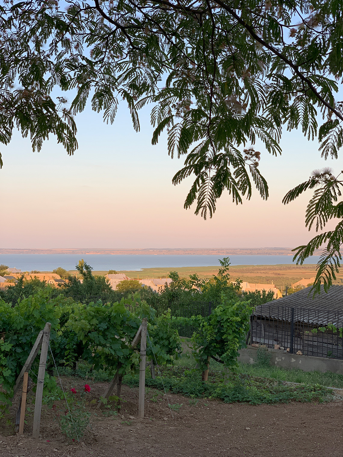 Сhamur. Food tours with Maria Kalenska