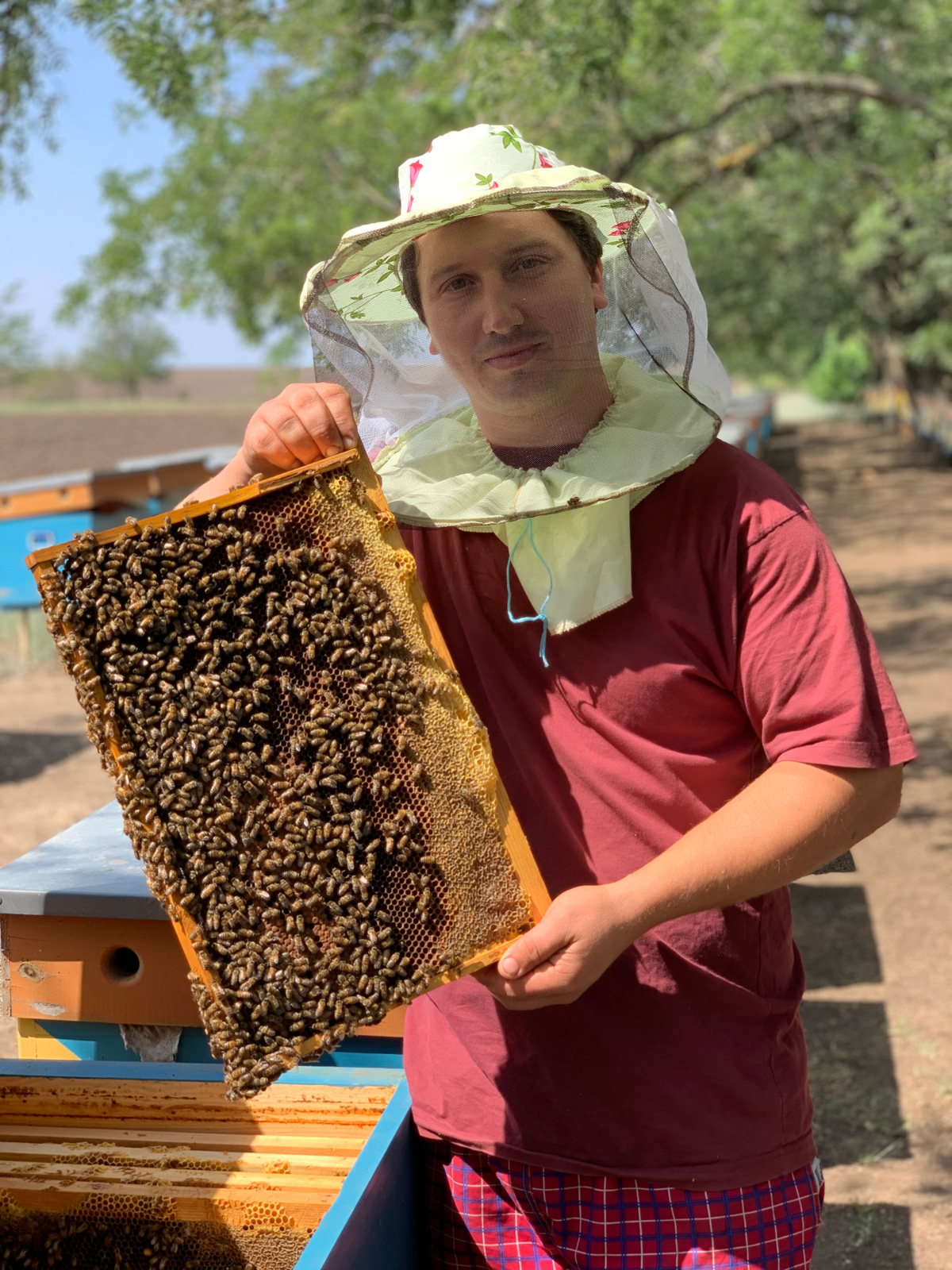 Food tour to Bessarabia - at the apiary