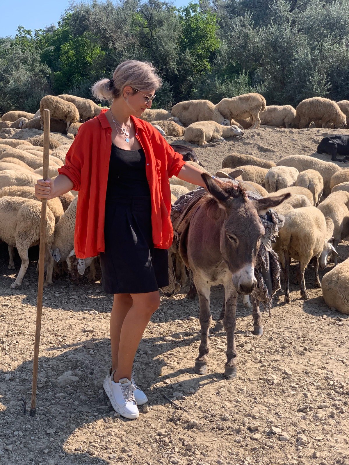 Food tour to Bessarabia - a place for grazing flocks