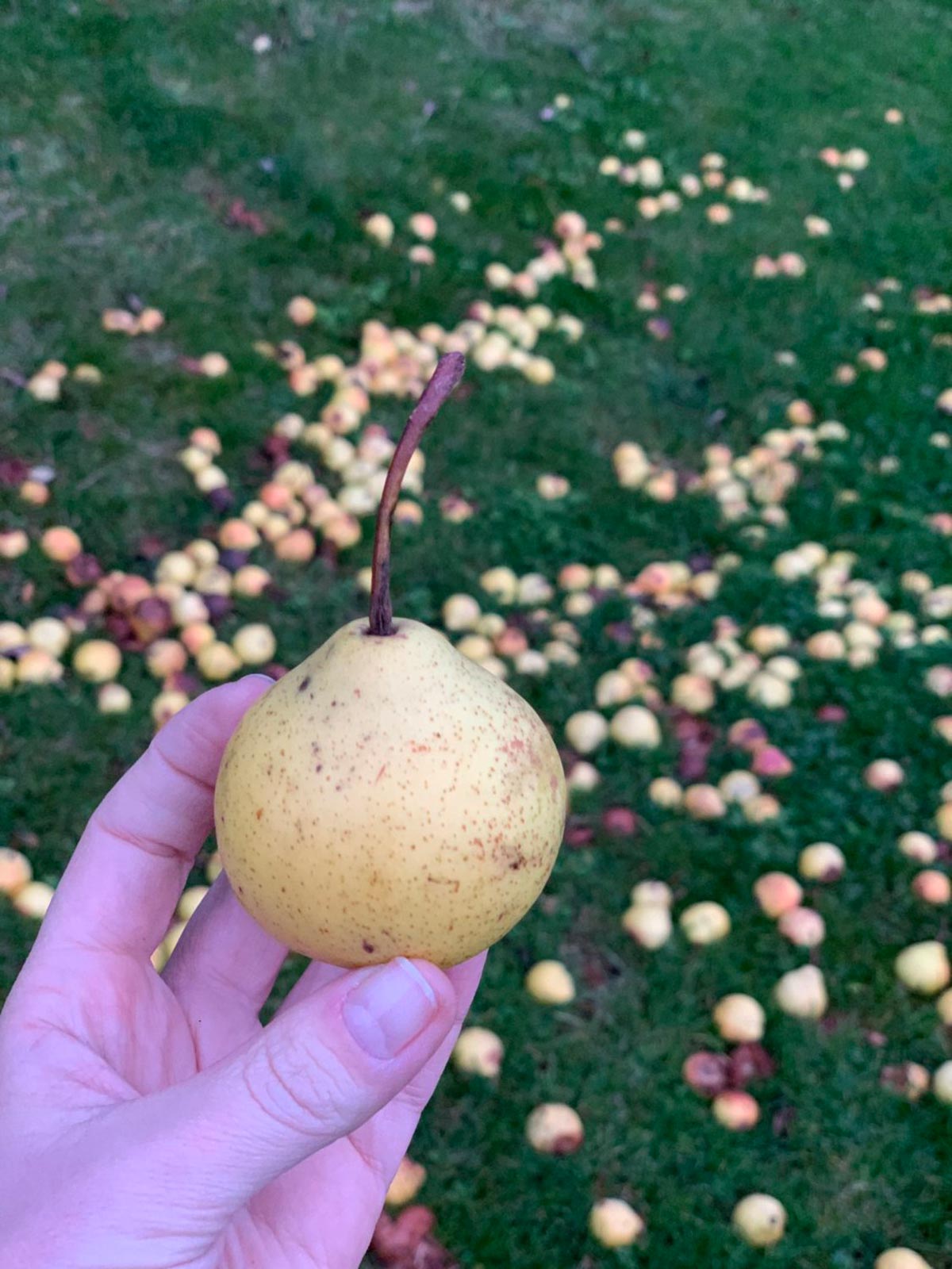 Meeting with famous cheese maker Charles Martell