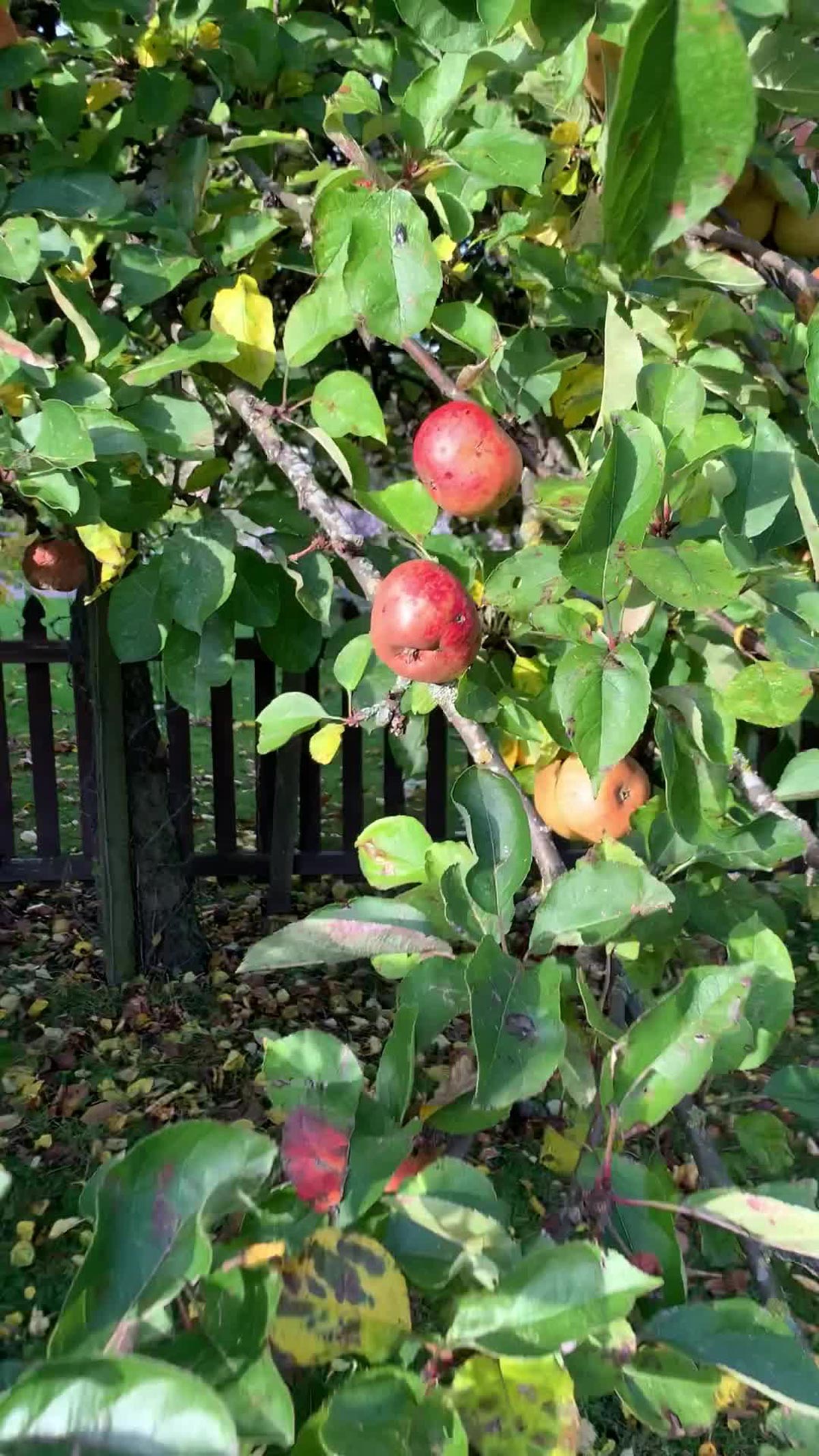 Meeting with famous cheese maker Charles Martell