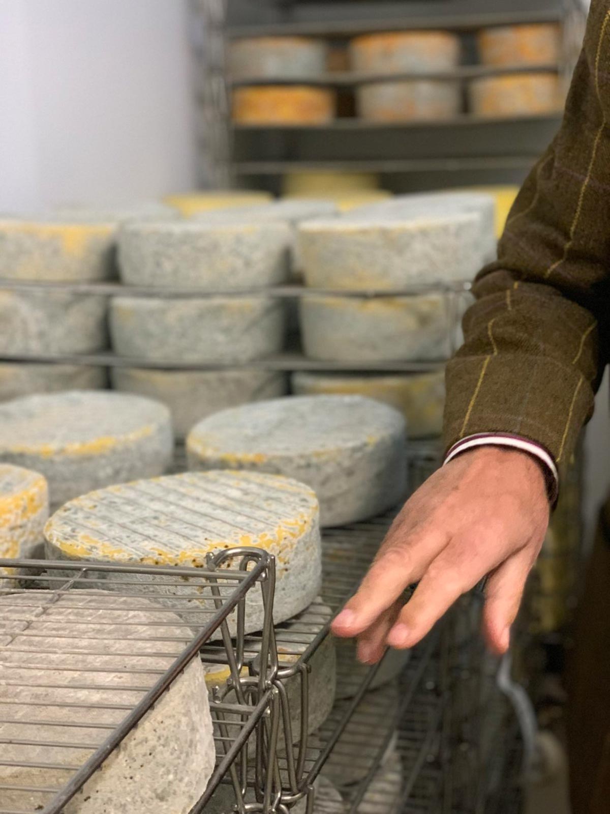 Meeting with famous cheese maker Charles Martell