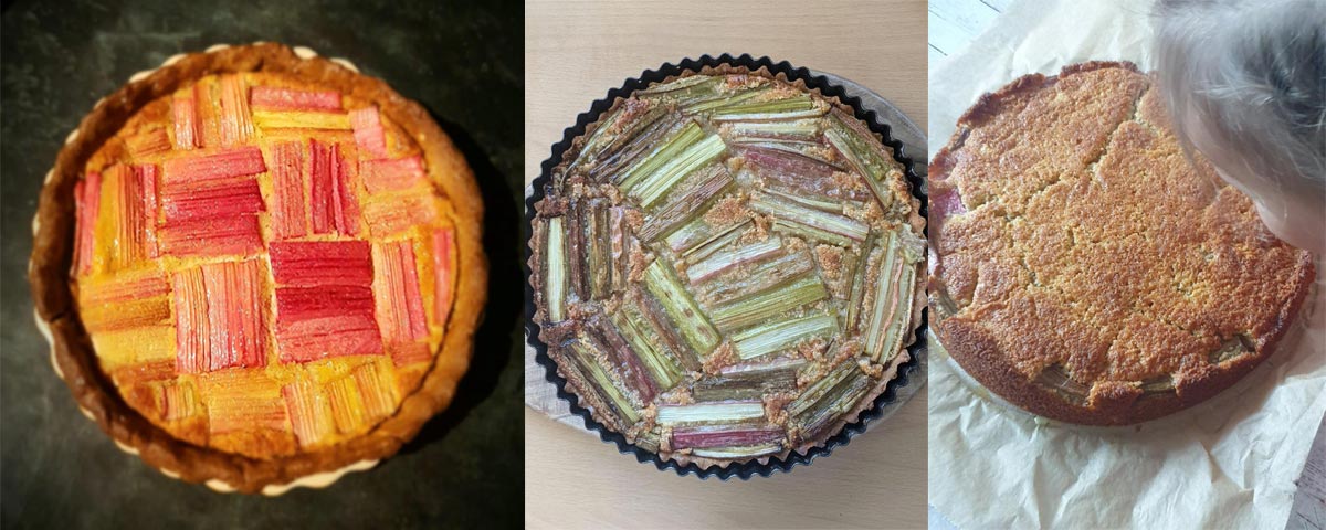 Rhubarb frangipane tart